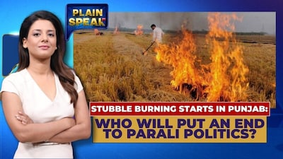 BJP Targets Bhagwant Mann As Stubble Burning Resurfaces In Punjab