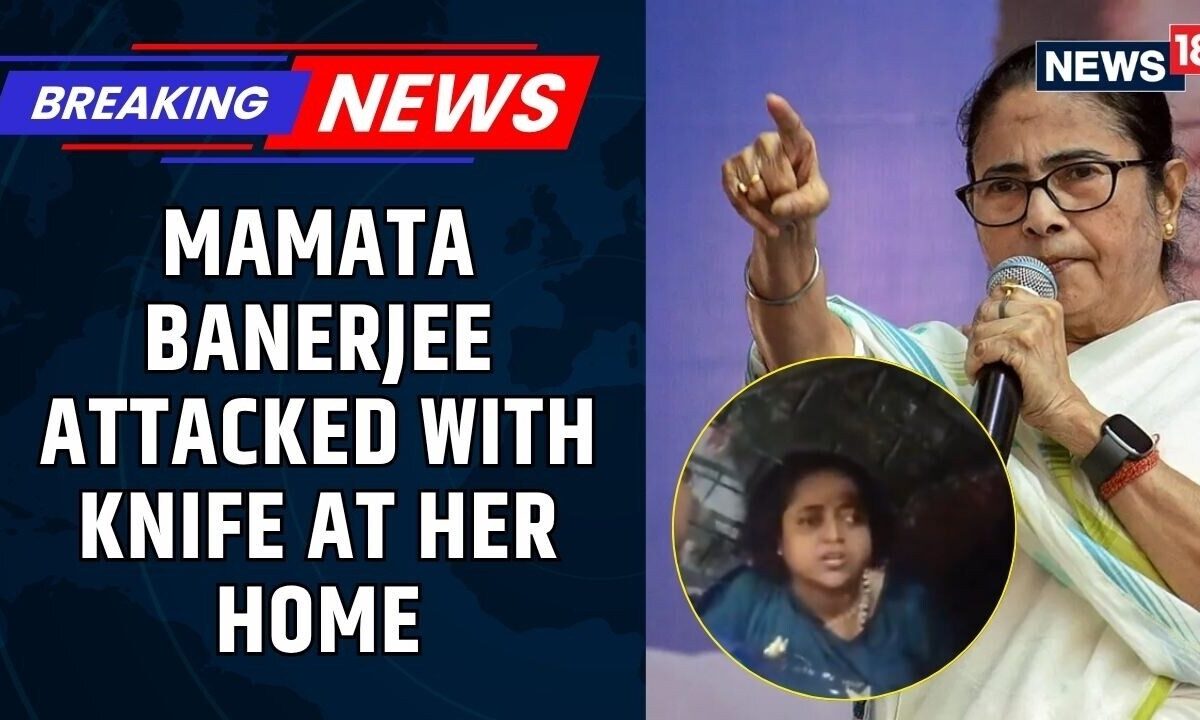 'She Isn't Safe': 'Drug Addict' Tried To Attack Mamata Banerjee With Knife, Her Faction Claims