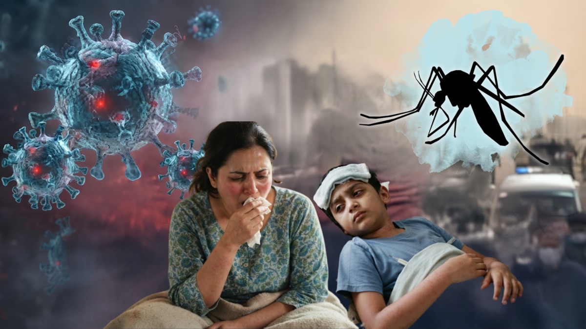 இந்தியாவில் டெங்கு மற்றும் எச்1என்1 பாதிப்புகள் அதிகரிப்பு
