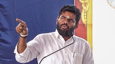 Former Tamil Nadu president K Annamalai. (PTI file photo)