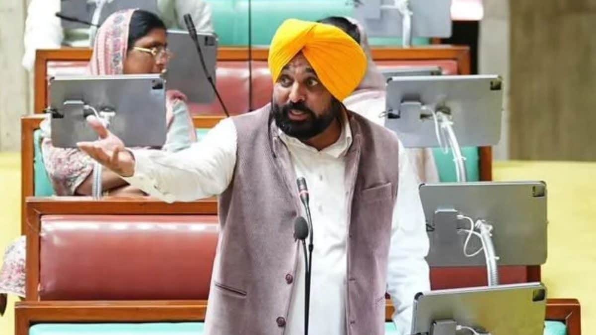 'Kartarpur Sahib Corridor Must Reopen': Punjab CM Bhagwant Mann's Request To Centre