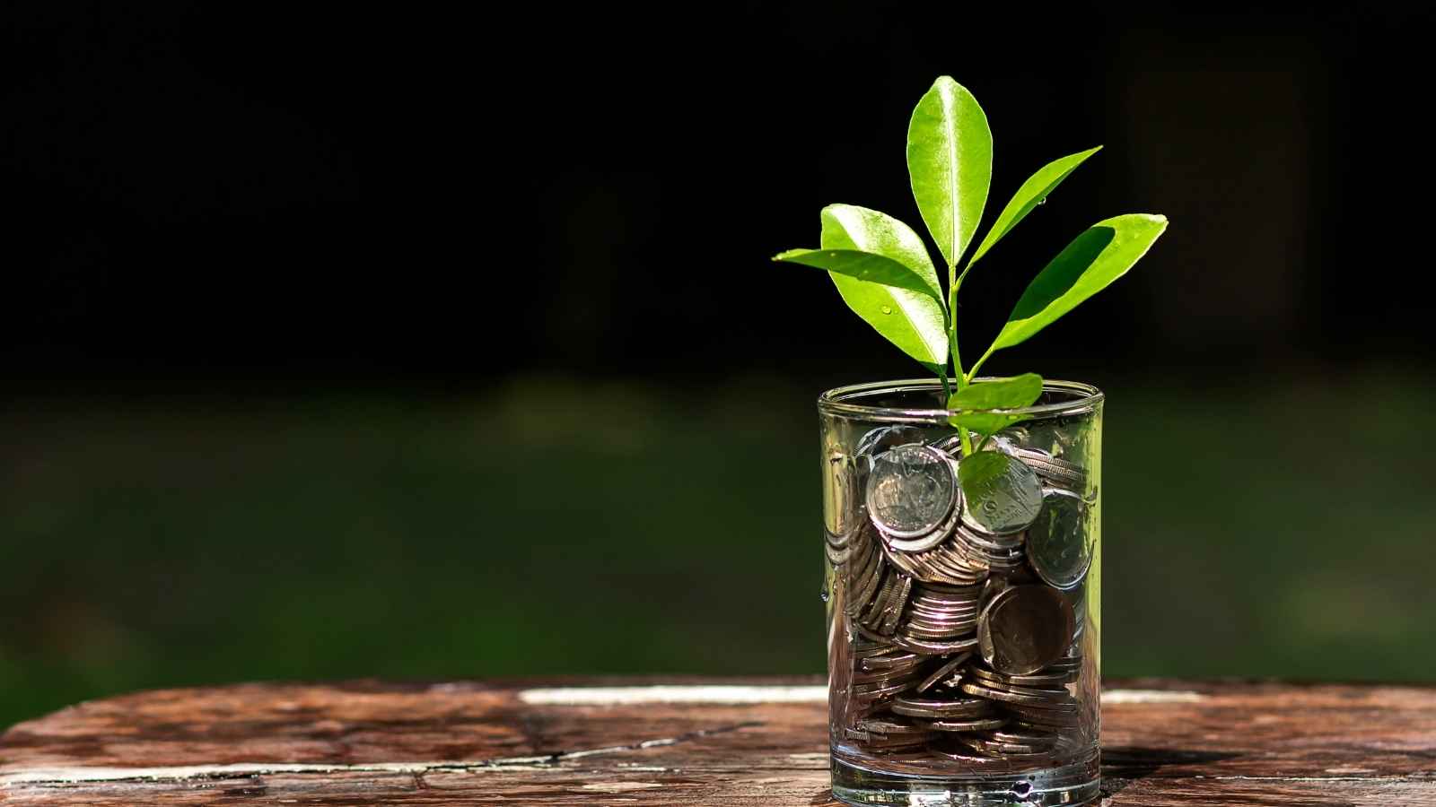 ₹500 Vs ₹1,000 Monthly SIP: How Much Can You Accumulate In 20 And 30 Years?