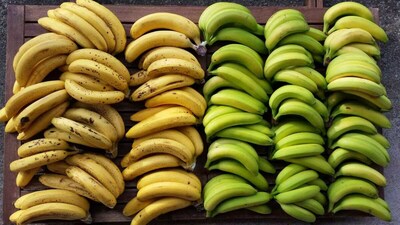 Raw Vs Ripe Banana: Which Is Better For Your Gut And Blood Sugar?