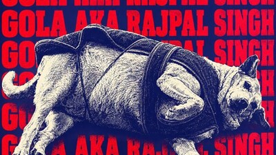 Gola Is Delhi’s Fat Dog Champion: A Bittersweet Win For The Late Chonky Favourite (Credit: Instagram/Flow_fluence)