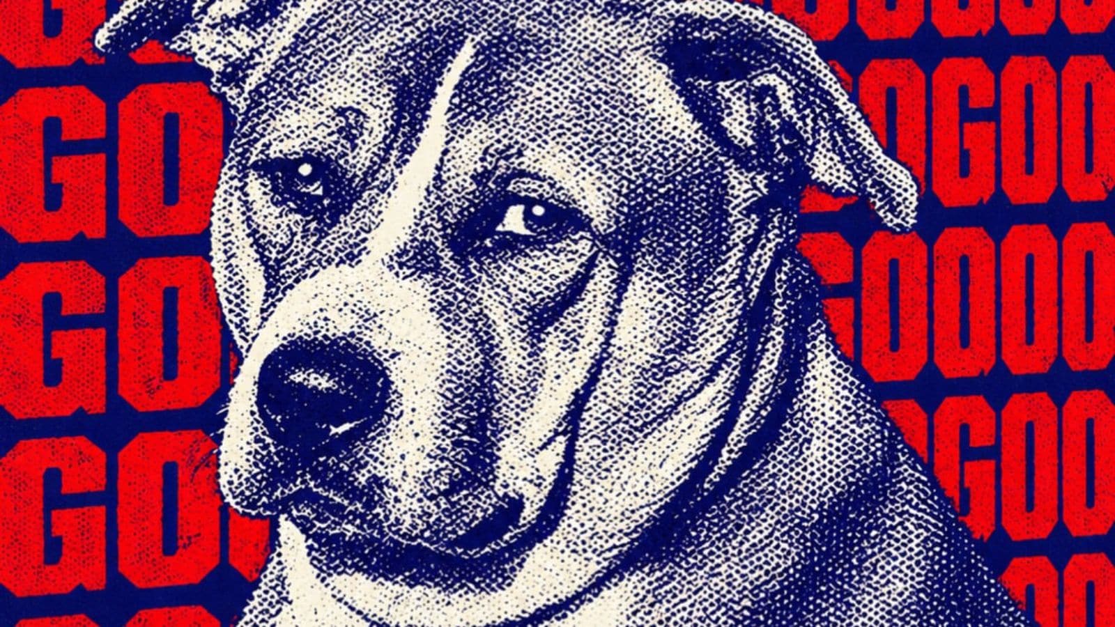 Play Exercise Compete Why The Viral ‘Fat Dogs’ Competition Trend Could Be Bad News For ...