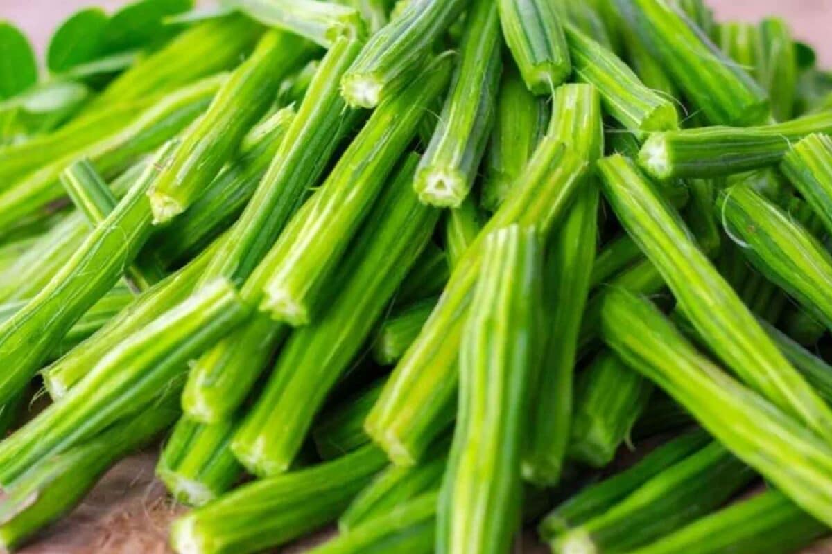 Why Is Moringa Called A Superfood? 8 Health Benefits Of Drumstick