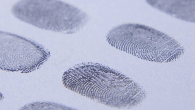 GK: Which Animal Has Fingerprints Almost Identical To Humans?