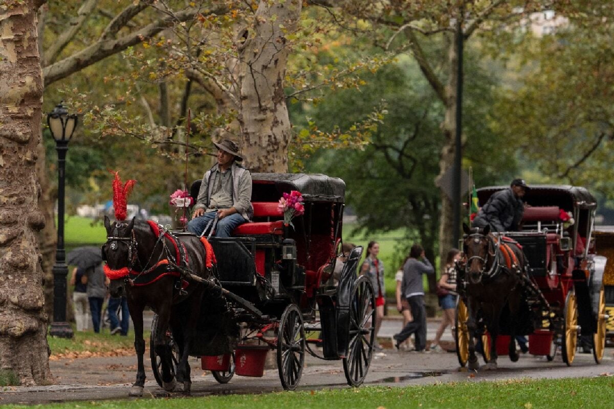 NYC Bans Horse-Drawn Carriage Rides After Death Of Indian Tourist; Trump Says ‘Piece Of History Gone’