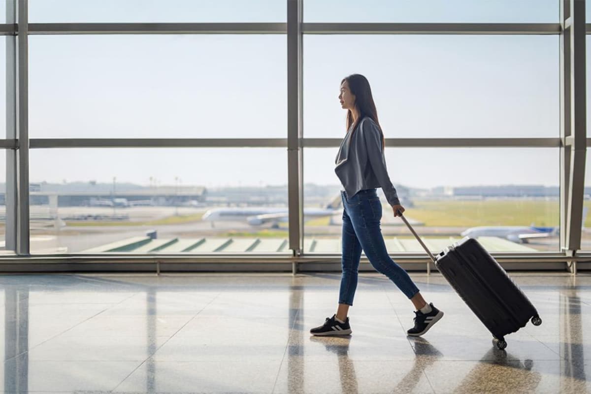 Looking For A New Trolley Bag? These Safari, American Tourister And VIP Options Are Worth Considering