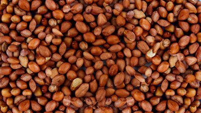 Drinking Water After Peanuts: Myth, Throat Irritation, or Allergy Connection? (Image: Canva)