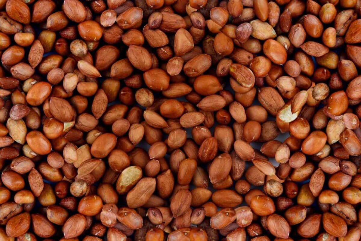 Can You Drink Water After Eating Peanuts? Here’s What You Should Know