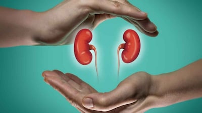 Diabetes or High BP? The 1 Mistake Destroying Your Kidney Health  (Image: File Photo/ News18)