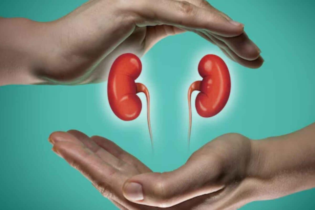 Kidney Damage Can Be Silent: 8 Warning Factors You Shouldn’t Ignore
