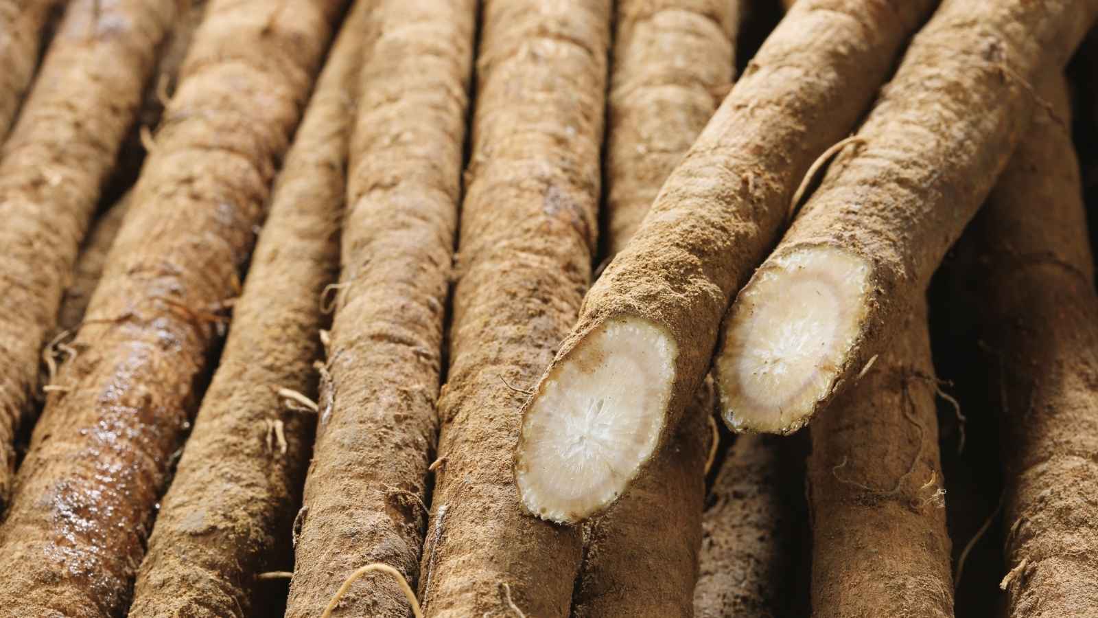 Mulethi Benefits and Side Effects: Why Overusing Licorice Root Is Harmful