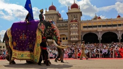 In the Jamboo Savari, the flag-bearing elephant plays this ceremonial role, announcing the commencement of the grand procession. (Photo: News18)