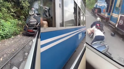 The person who shared the clip asked who was at fault, prompting hilarious reactions (Image: Instagram/@sarfiratittoo.ig)