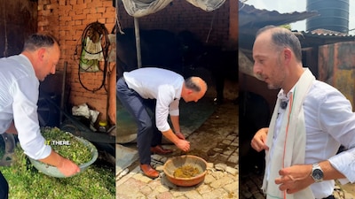 The German diplomat operated a hand-powered chaff cutter, fed cows and even picked up cow dung (Image: Instagram/@germanyinindia)