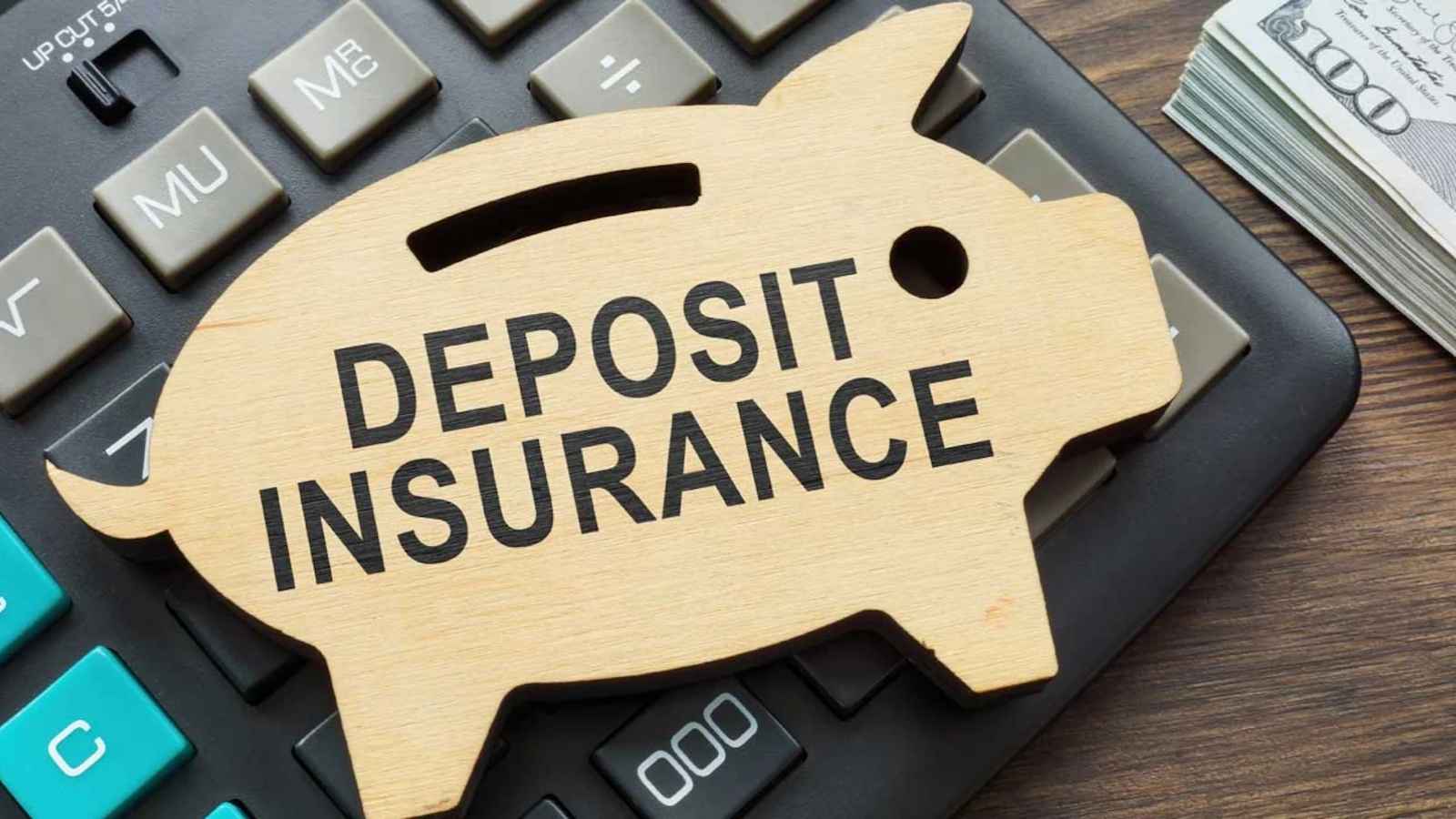 Bank deposits carry DICGC insurance protection up to Rs 5 lakh per depositor per bank, covering both principal and interest. Spreading large deposits across multiple banks helps manage risk, while small savings schemes carry sovereign guarantees.