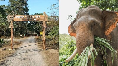 This Little-Known Corner Of Assam Is On Travellers’ 2027 Wishlist, With Flight Searches Up 502%