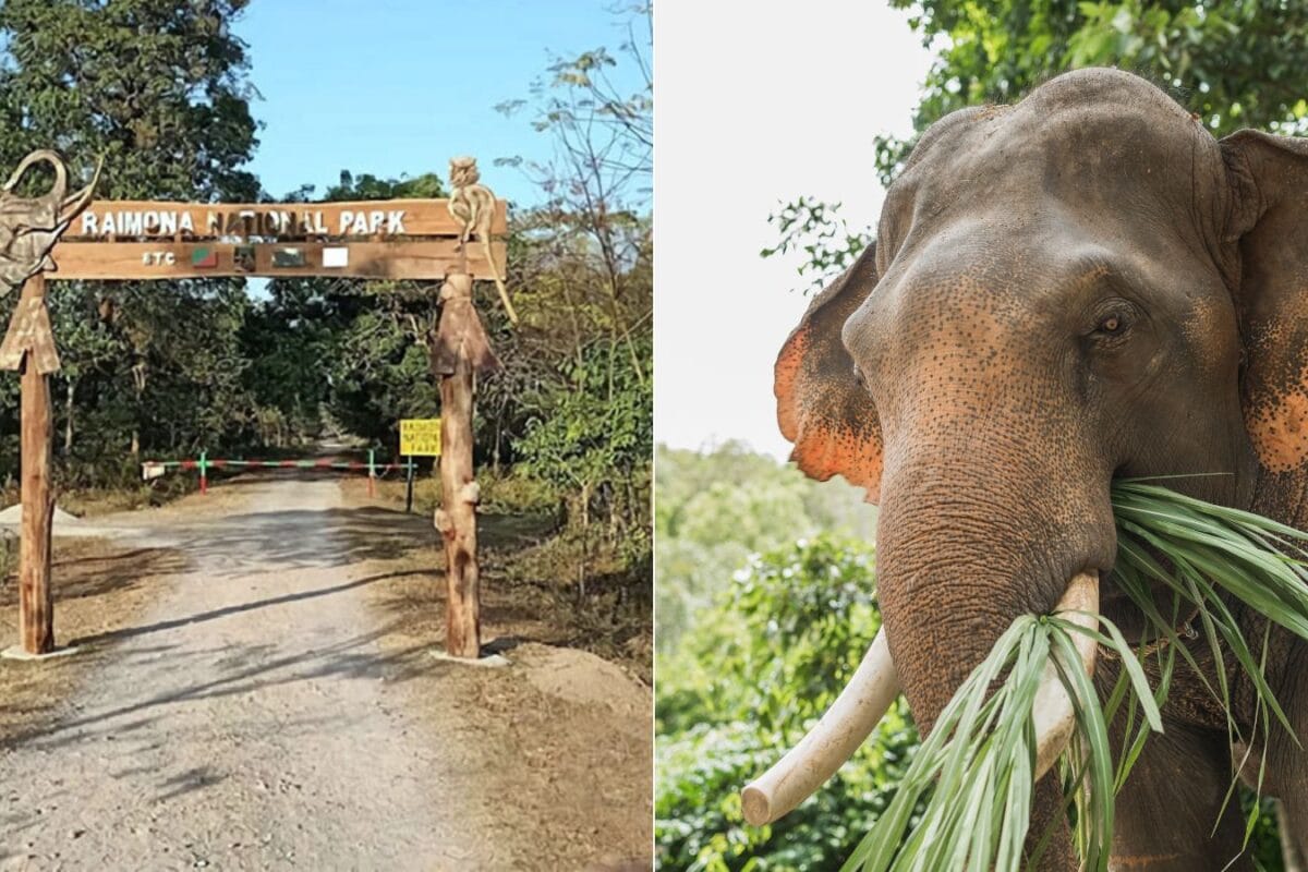 This Little-Known Corner Of Assam Is On Travellers’ 2027 Wishlist, With Flight Searches Up 502%