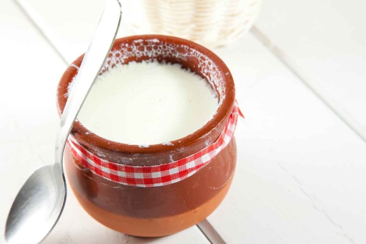 Curd In Winter: Does It Really Increase The Risk Of Cold And Cough?