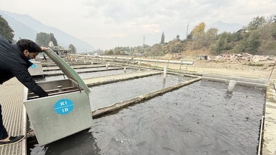 Khyber Aquaculture Director Yunus Trumboo said the company wants to take Kashmir's trout to global markets over the next few years as it expands production.