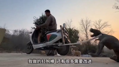 A video of a Chinese rider using a long stick to fend off dogs has sparked a heated online debate (Image-X/@RT_com)