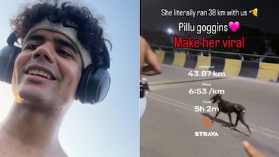 A stray dog has left the internet in awe after reportedly running 38 kilometres alongside a group of runners in Kanpur (Image-Instagram/@itszzprathamm)