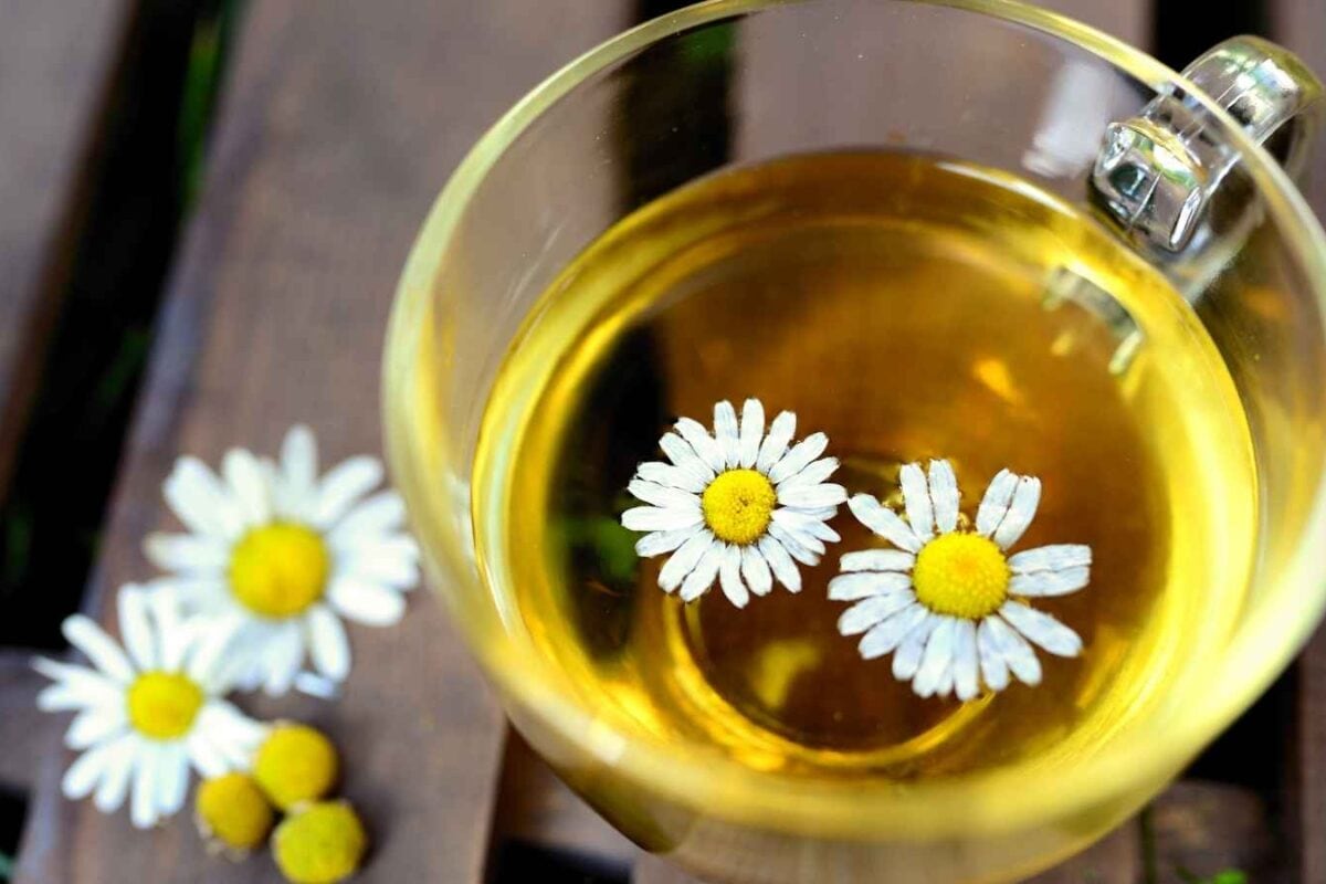 Chamomile Tea At Night: A Simple Ritual For Better Sleep