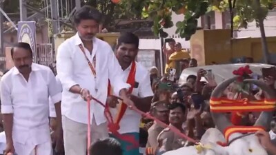 Vijay Takes Bullock Cart Ride, Meets Voters During Dharapuram Bypoll Roadshow (Photo- video screengrab)