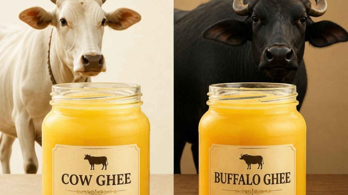 Cow Vs Buffalo Ghee: The Deadly Mistake You Are Making Every Day!