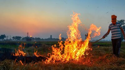 With Delhi already moving from satisfactory to moderate air quality and the farm-fire season beginning, the number of fires and the weather over the Indo-Gangetic Plain - will be crucial in determining how quickly the capital's air deteriorates.