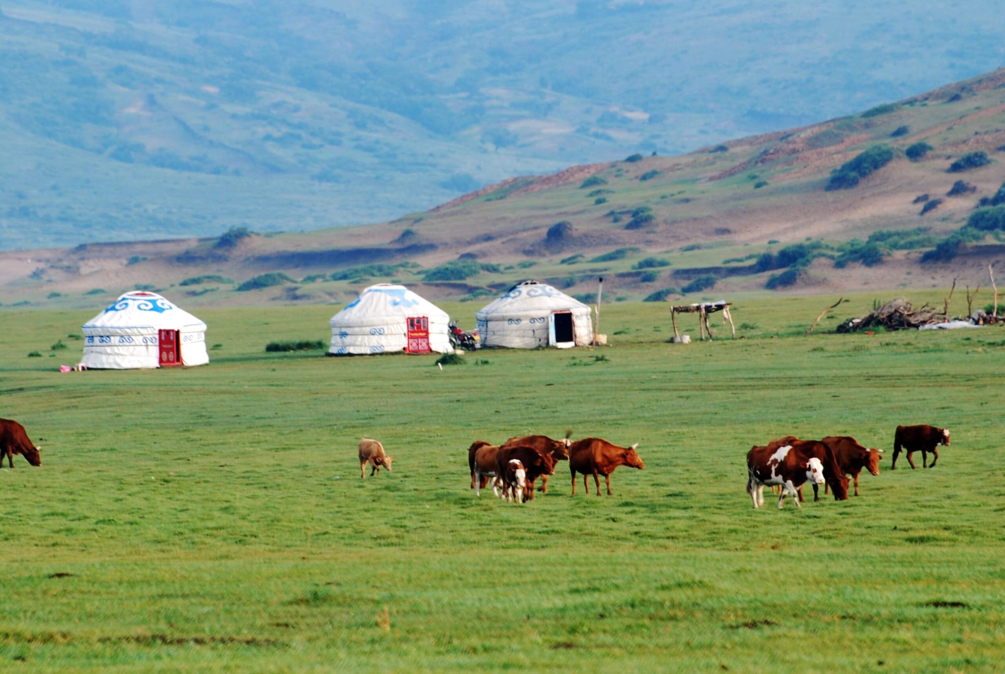 Forget long layovers and multiple flight changes if Mongolia is on your travel wishlist. A new nonstop connection from New Delhi to Ulaanbaatar has brought the vast, windswept landscapes of Mongolia much closer to Indian travellers, with the journey taking just around five hours. From the world’s coldest national capital to the dramatic Gobi Desert, Mongolia offers a very different kind of getaway. With the new route making the country easier to reach, here’s what Indian travellers should know before planning the trip.