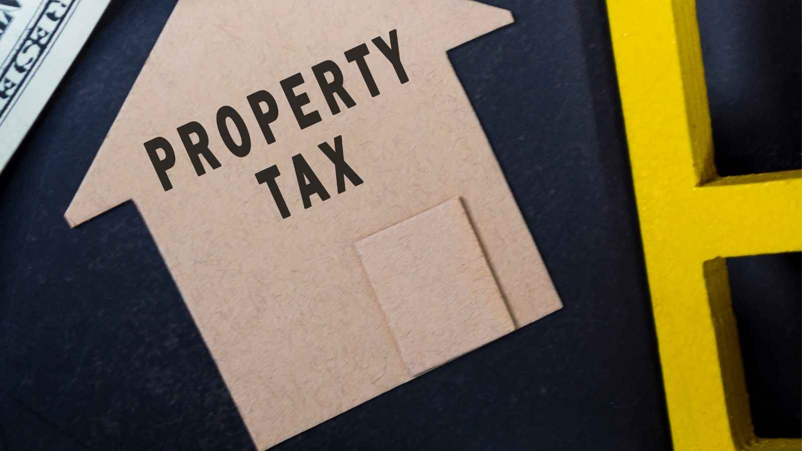 Depending on the permissions you grant, your representative can handle routine duties smoothly. They can interact with housing societies, draft tenant agreements, collect rent, pay local property taxes, and complete administrative paperwork without requiring your physical presence in India. Depending on the permissions you grant, your representative can handle routine duties smoothly. They can interact with housing societies, draft tenant agreements, collect rent, pay local property taxes, and complete administrative paperwork without requiring your physical presence in India.