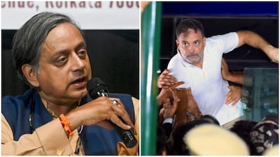 Combo pic: Congress MP Shashi Tharoor and Leader of the Opposition Rahul Gandhi. (Photos: ANI/PTI)