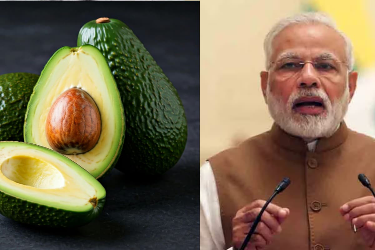 PM Modi Recommends Indian Avocados: 7 Desi Dishes You Can Make With Them