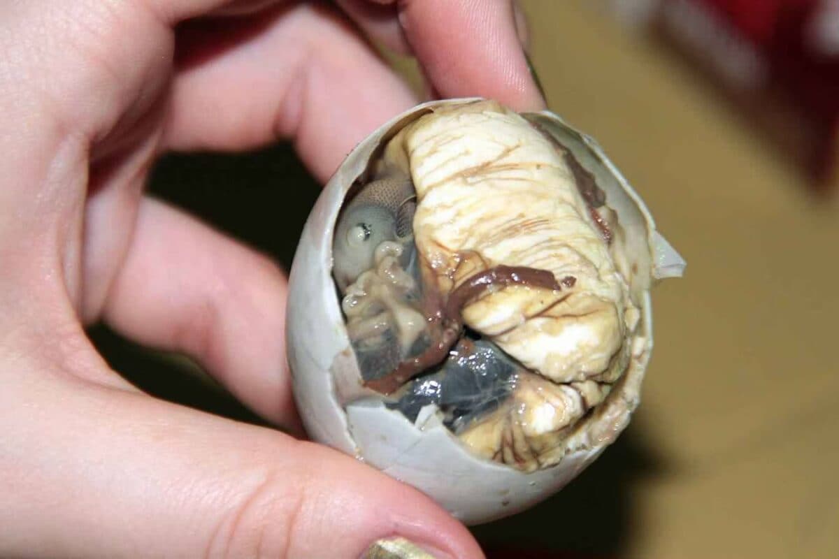 Not For The Faint-Hearted: 7 Unusual Foods Eaten In Different Countries