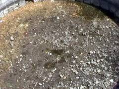 निजामकालीन खजाना विहीर आटली