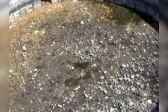 निजामकालीन खजाना विहीर आटली