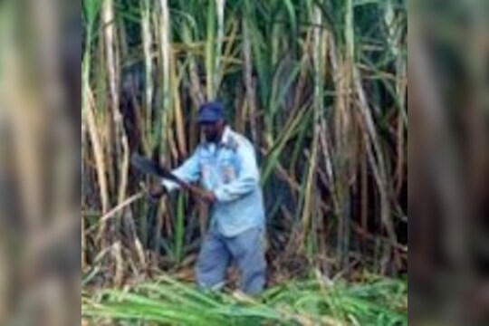 20 एप्रिलनंतर कोणकोणत्या क्षेत्रातली कामं होणार सुरू? ही आहे यादी