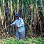 20 एप्रिलनंतर कोणकोणत्या क्षेत्रातली कामं होणार सुरू? ही आहे यादी