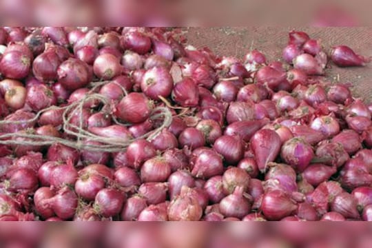 धुळ्यात कांदा 50 पैसे किलो