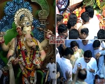 राजाच्या चरणी राज ठाकरे  