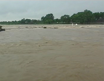 विदर्भात पावसाचा कहर,7जणांचा मृत्यू