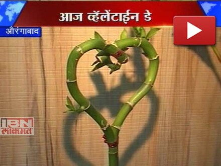 अनोखी पेरणी