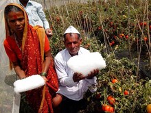 राज्यात पुन्हा गारांचे तांडव, पिकं उद्धवस्त !
