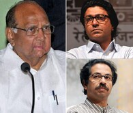 राजची पक्षासाठी मेहनत पण उद्धवना सहज मिळालं -पवार   