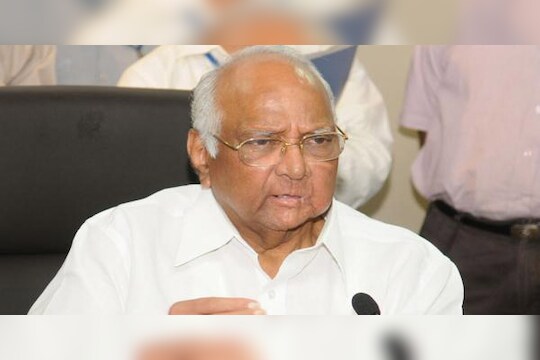 शदर पवार विधानसभा निवडणुकीत 'एकला चालो रे'चा नारा देण्याची शक्यता 