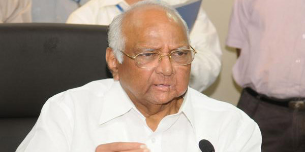 शदर पवार विधानसभा निवडणुकीत 'एकला चालो रे'चा नारा देण्याची शक्यता