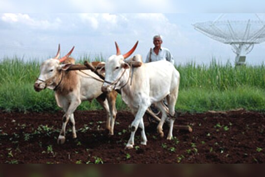 विदर्भात पावसाचा जोर वाढला